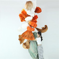 Txiv kab ntxwv daim ntawv kos duab nruab