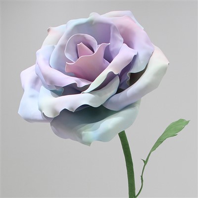 Sab nraum zoov loj heev Eva Rose Kho kom zoo nkauj khoom